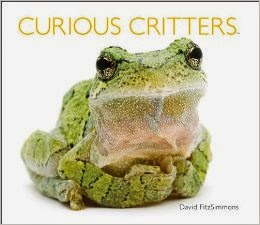 http://www.amazon.com/Curious-Critters-David-FitzSimmons/dp/1936607697