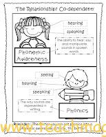 Relationship between phonemic awareness and phonics