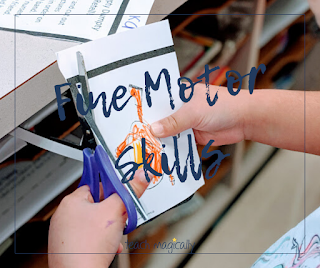 Read more about the article 8 Easy Fine Motor Activities for the Classroom